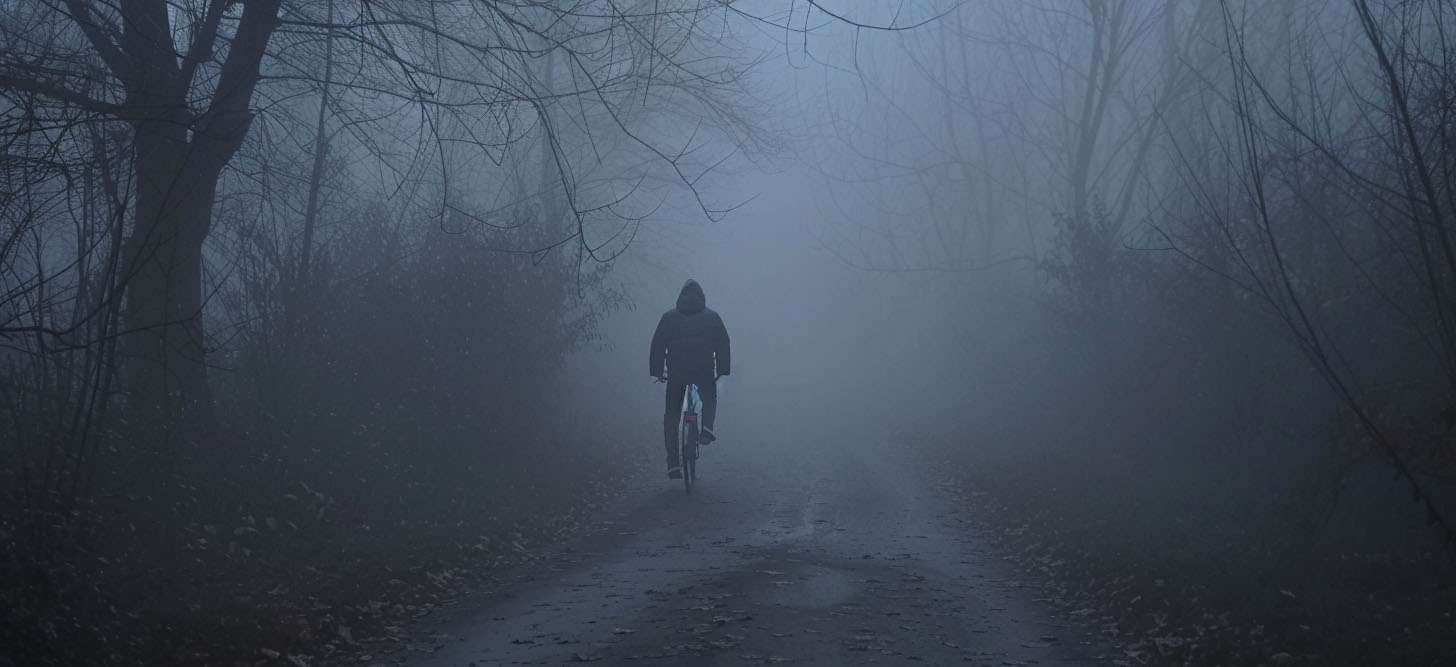 A person riding a bicycle on a foggy path, surrounded by bare trees.